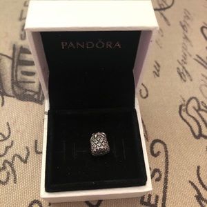 Pandora charm